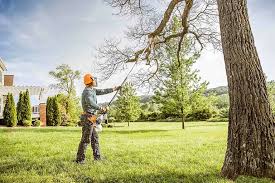 How Our Tree Care Process Works  in  Richfield, OH