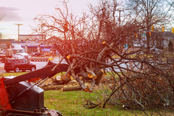 Leaf Removal in Richfield, OH