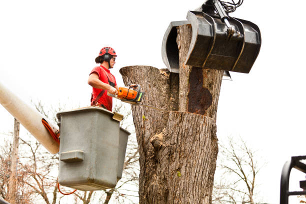Soil Testing and Treatment in Richfield, OH